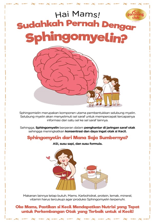 Peranan Sphingomyelin Dalam Perkembangan Otak si Kecil