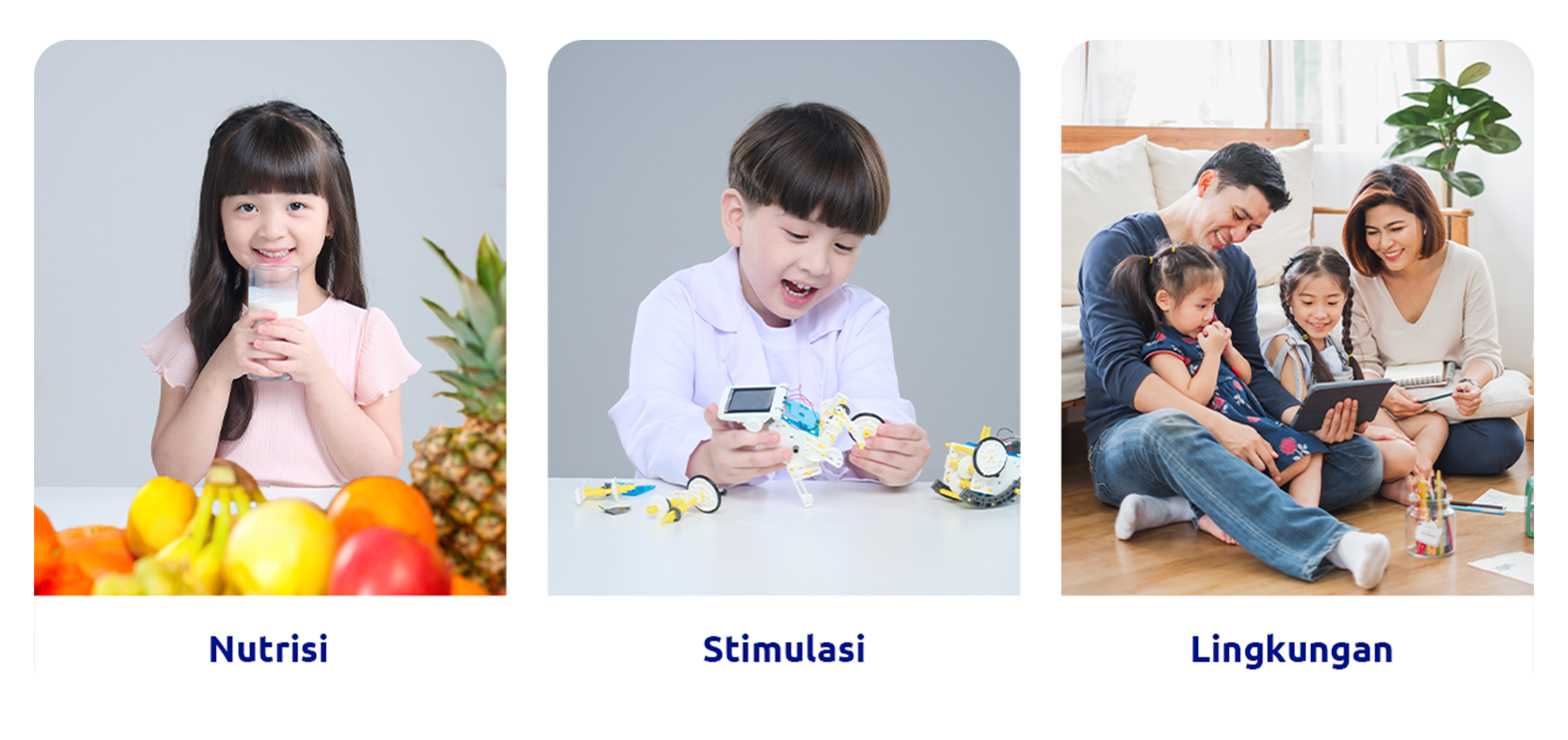 Nutrisi, Stimulasi, dan Lingkungan