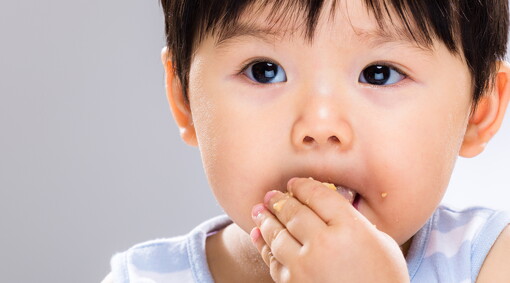 Finger food untuk penuhi kebutuhan nutrisi  anak