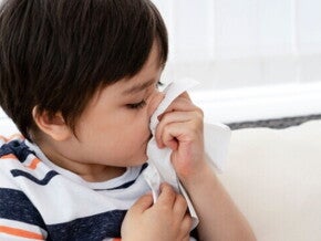 Cara Menghilangkan Alergi Debu pada si Kecil dengan Cara Aman Cara Menghilangkan Alergi Debu pada si Kecil dengan Cara Aman