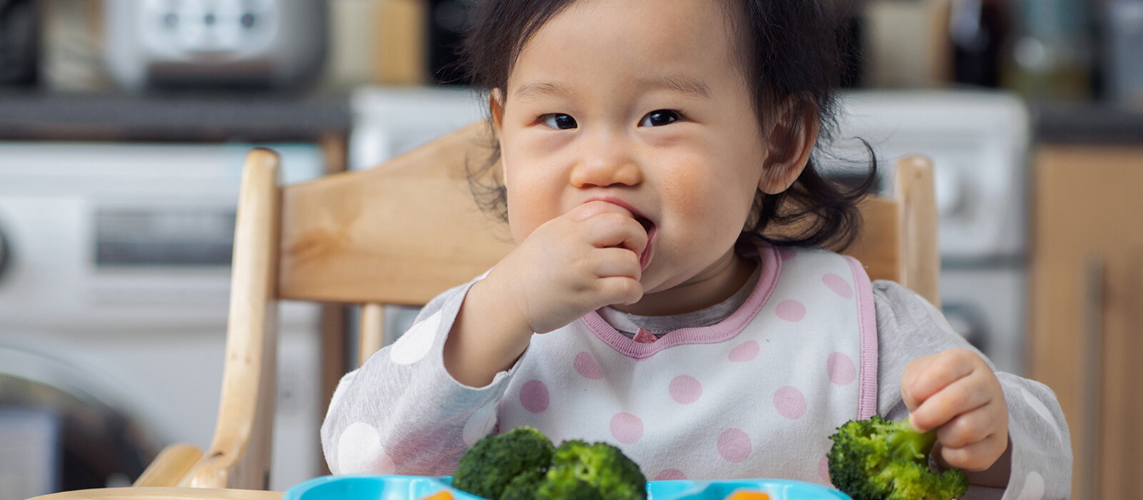 Tips Menyiapkan Makanan Anak 1 Tahun